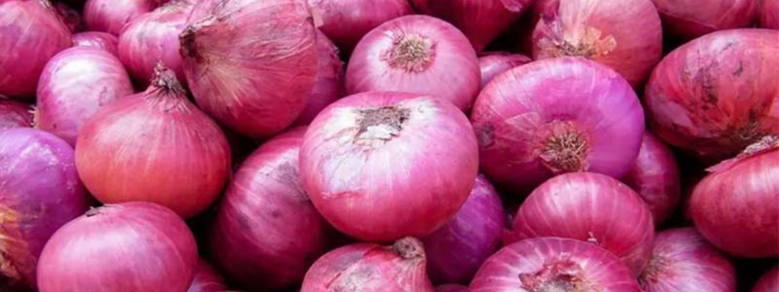 Export of onions permitted for Sri Lanka